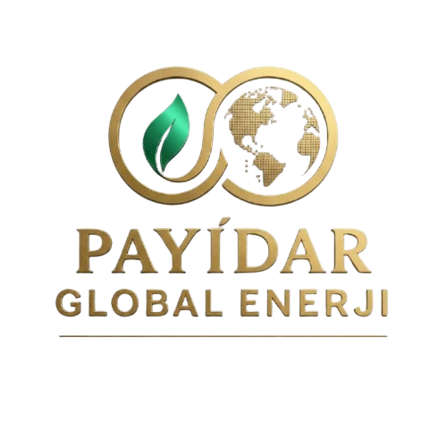 Payidar Global Enerji Logo